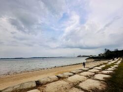 The Shorefront (D17), Apartment #542409021
